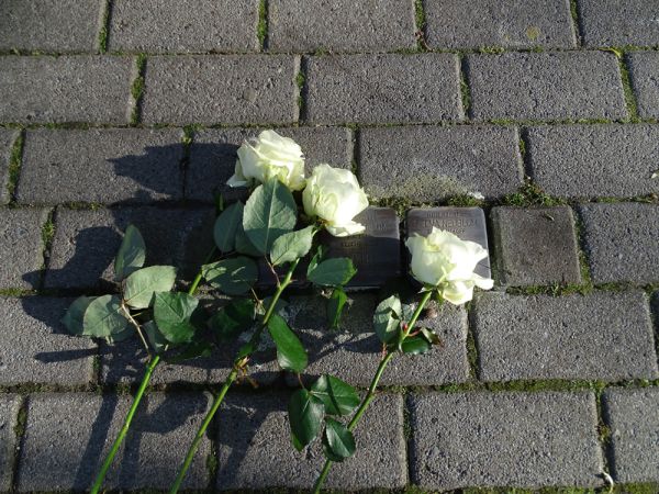 weiße Rosen niedergelegt auf vier Stolpersteinen