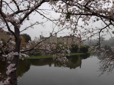 Tag_3_Leeds_Castle_original