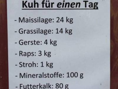 2019_6d_hofprojekt5_klein_original