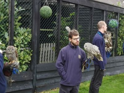 Tag_3_Leeds_Castle_Owlery