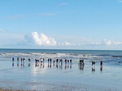 Tag_5_Hastings_Strand